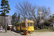 Koganei Park in Tokyo Koganei Park in Tokyo
